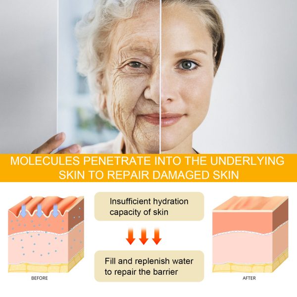 EELHOE Ginseng & Niacinamide Anti-wrinkle Essence - Image 8